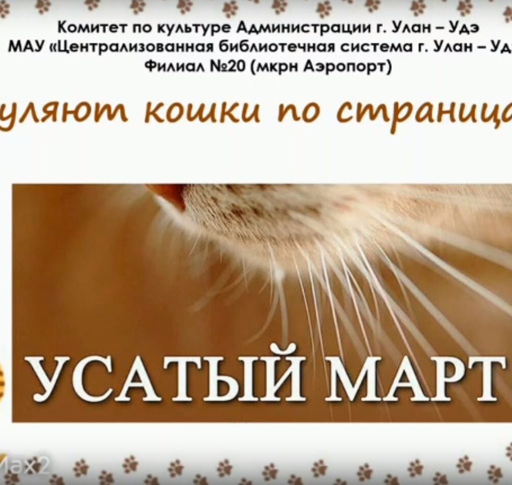 Онлайн –обзор «Гуляют кошки по страницам»