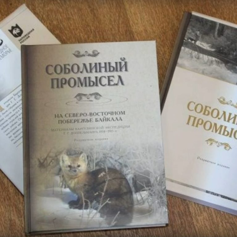 Новинки в детской библиотеке им. А. Гайдара